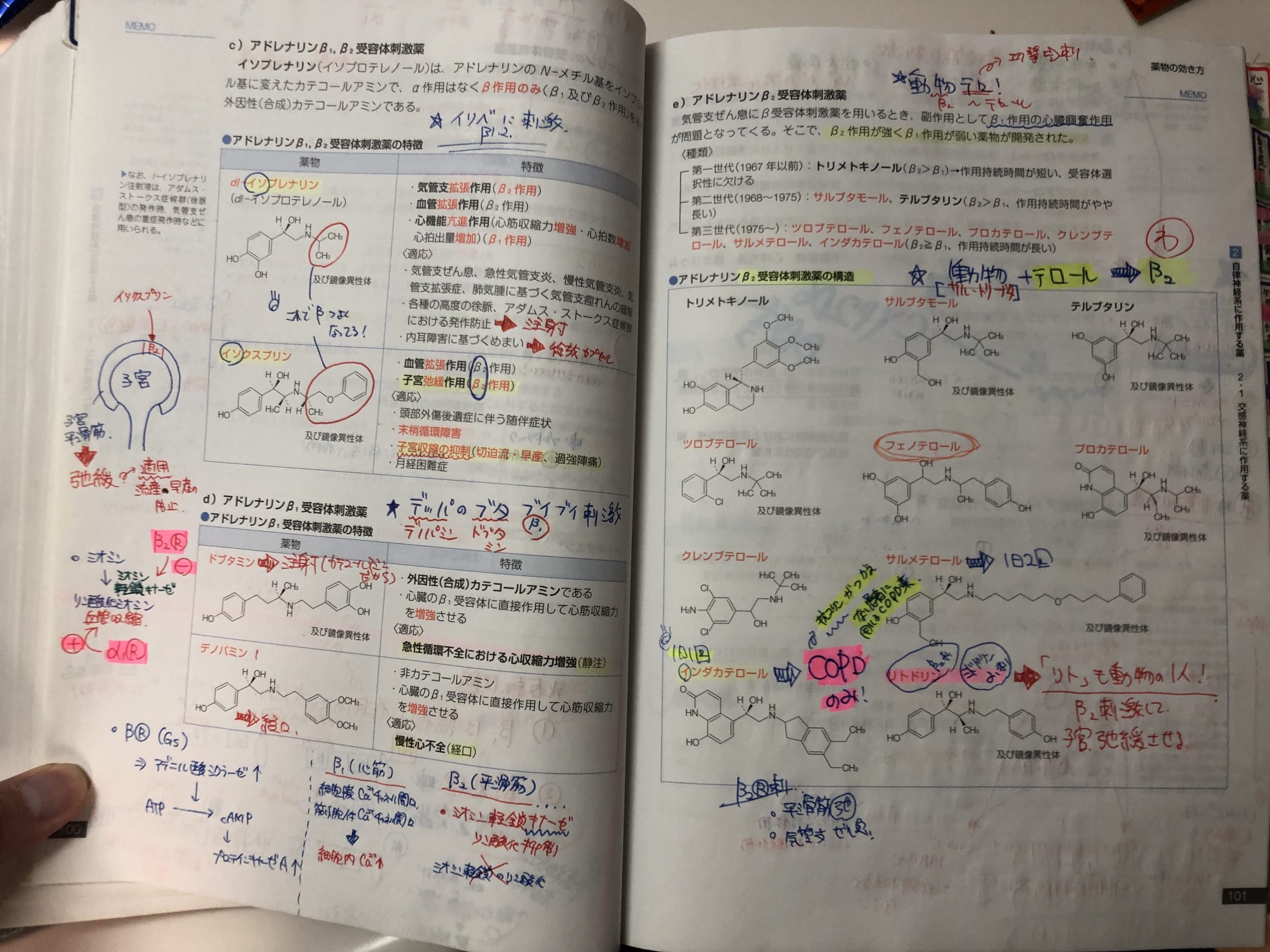 薬学 医療大学 教科書 参考書 薬剤師国家試験 まとめ売り 化学 衛生