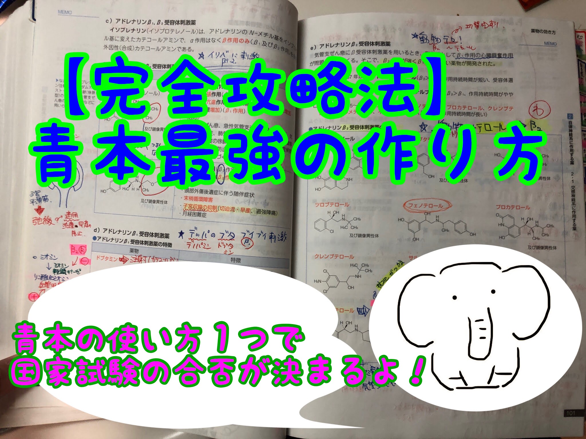 完全攻略法】青本おすすめ最強の使い方~薬剤師国家試験一発合格~ | そ ...